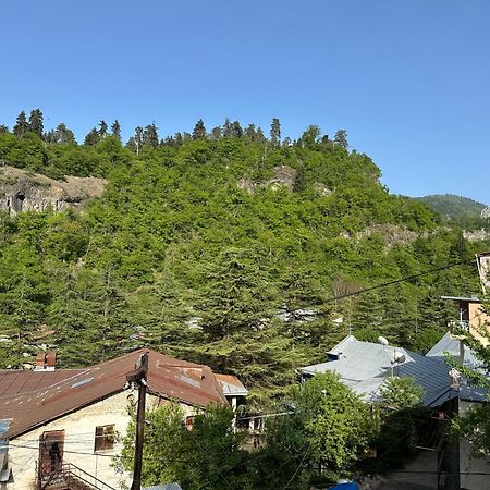 Guest House Nana Borjomi Exterior foto